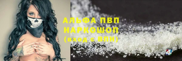 МДПВ Дмитриев
