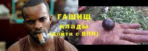 мет Дмитров
