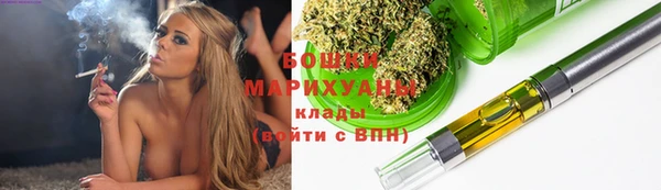 мет Дмитров