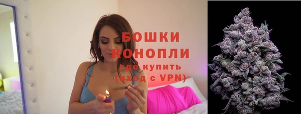 mdpv Гусев