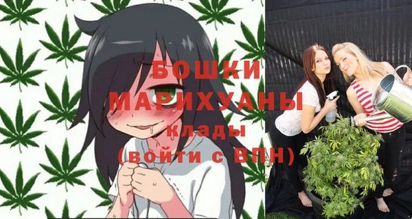 МДПВ Дмитриев