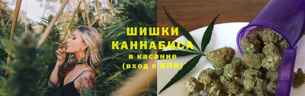 мет Дмитров