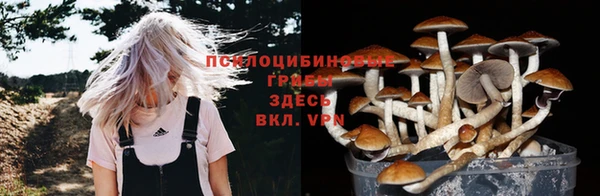 марки lsd Гусь-Хрустальный