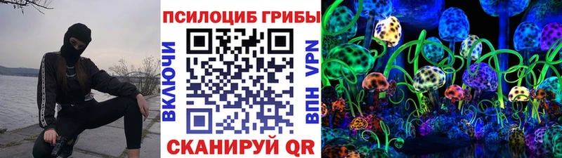 Купить закладки  Ишимбай  Псилоцибиновые грибы Psilocybe 